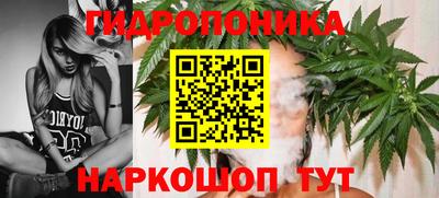 гидра Камень-на-Оби