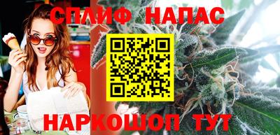гидра Камень-на-Оби
