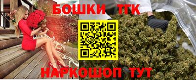гидра Камень-на-Оби
