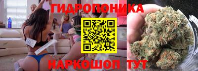 гидра Камень-на-Оби